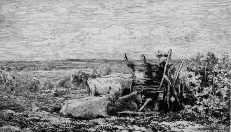 Engraving Daubigny - Les vendanges. (Souvenir du Morvan)