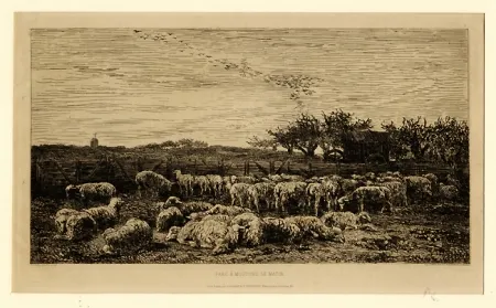 Etching Daubigny - Parc à moutons:  le matin, in 