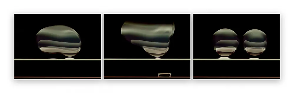 Photography De Haan - Timeline 5