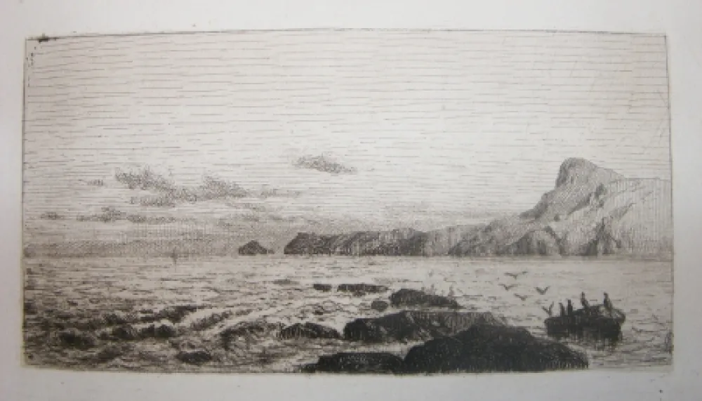 Etching And Aquatint De Haes - Arrecifes (Marina: Roca, gaviotas)