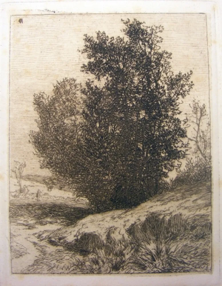Etching De Haes - Paisaje (Árboles)