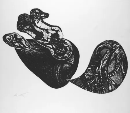 Engraving De Vita - Le cose che volano II