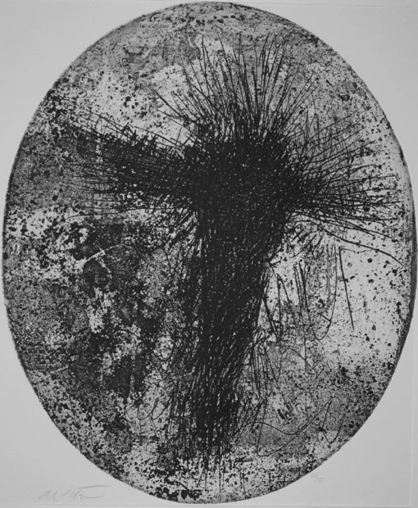 Engraving De Vita - Le cose che volano III