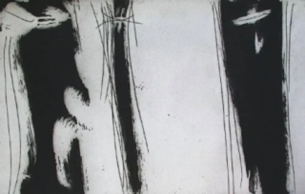 Illustrated Book Debré - Bâtir à chaud et à sable