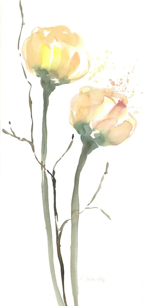 No Technical Decker-Kern - Blüten