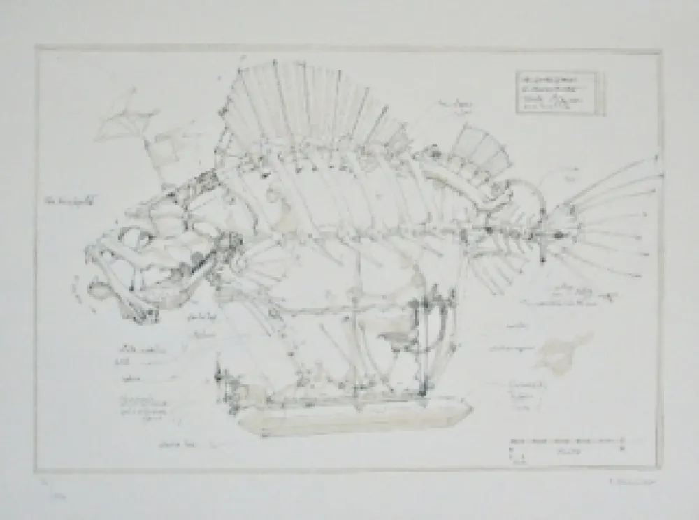 Lithograph Delarozière - Le Poisson Pirate