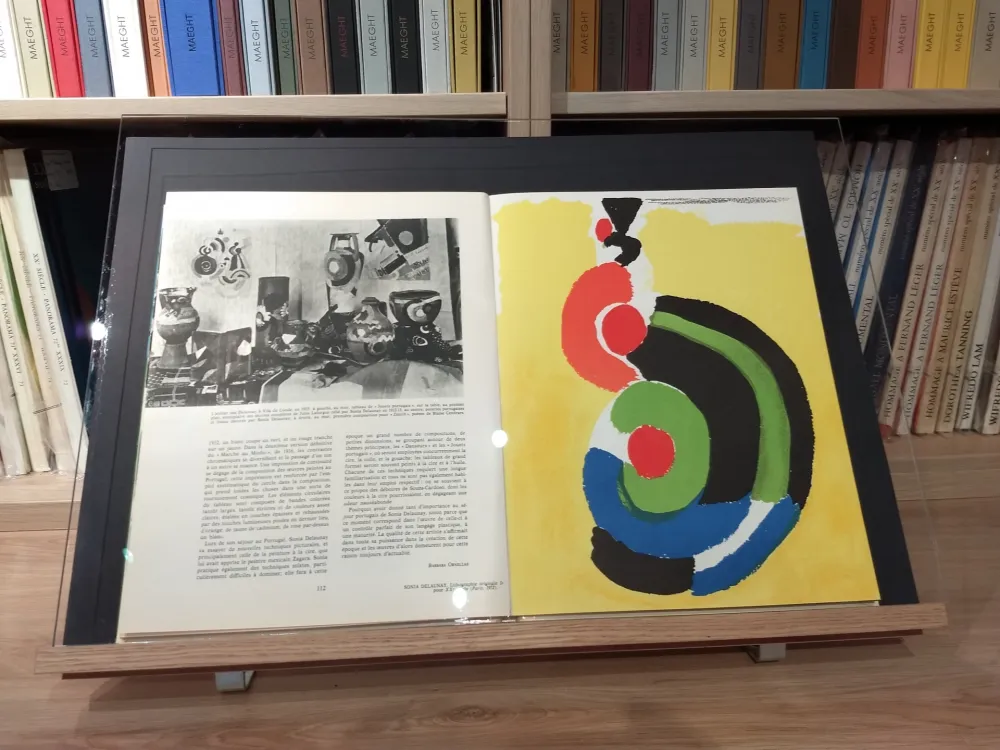 Illustrated Book Delaunay - No 39