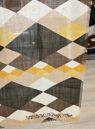 No Technical Delaunay - Sin titulo