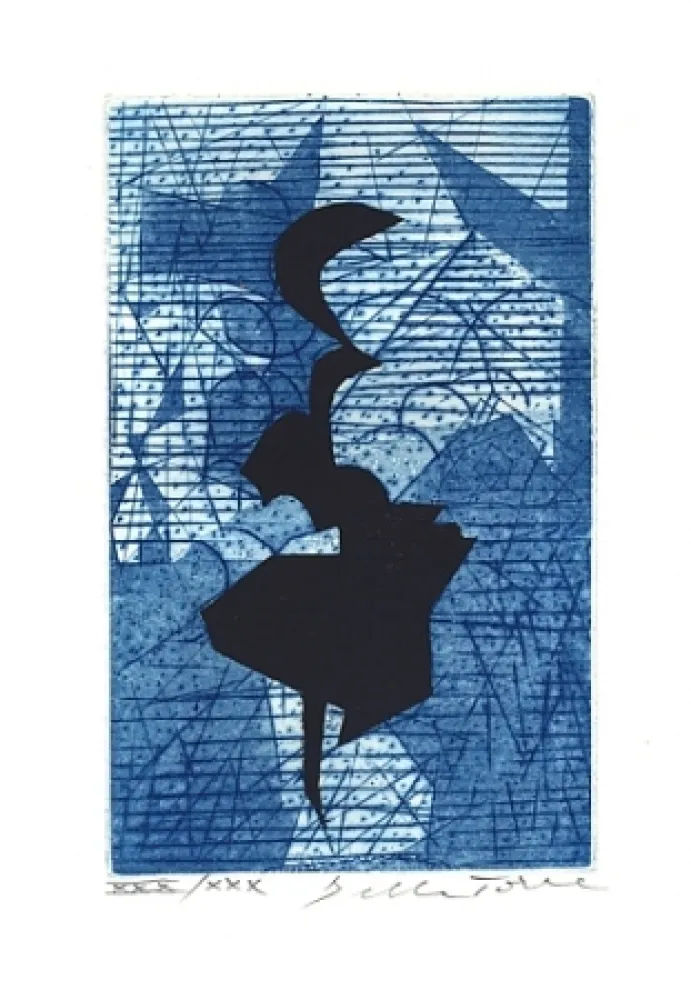 Illustrated Book Della Torre - Sui bordi dell'impossibile