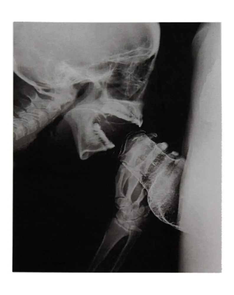 Illustrated Book Delvoye - Sexrays