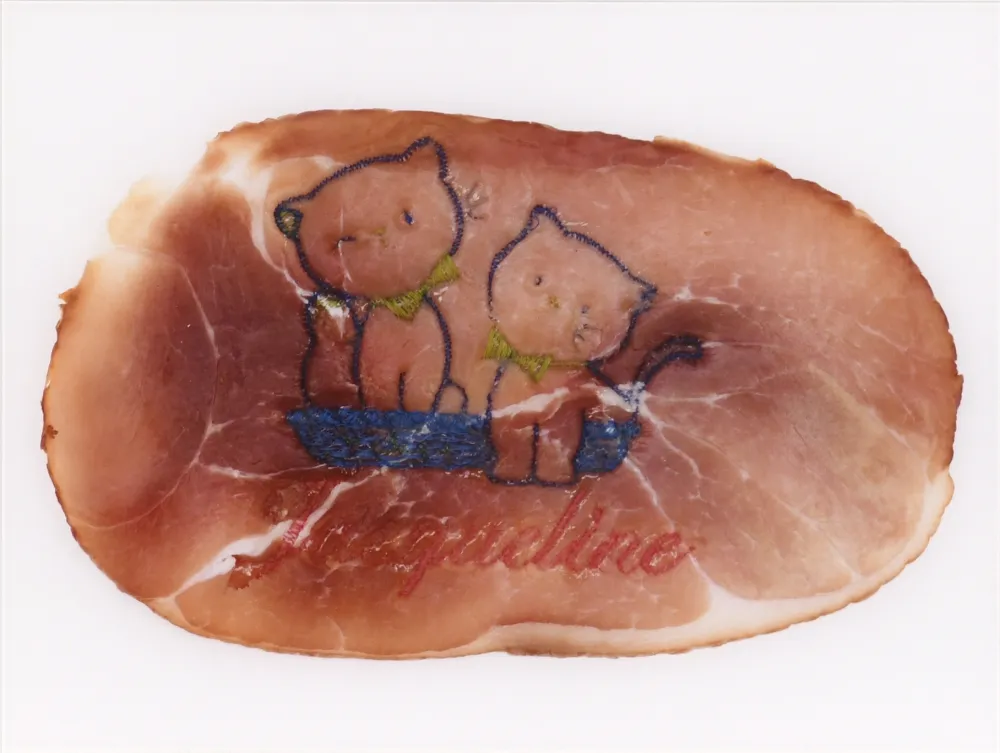 Photography Delvoye - Untitled 02 (Photograph of Embroidered Ham) (