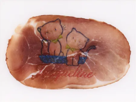 Photography Delvoye - Untitled 02 (Photograph of Embroidered Ham) (
