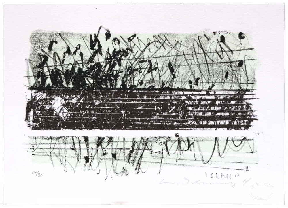 Lithograph Denning - Islande II