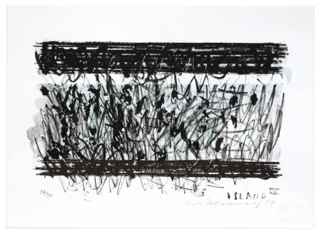 Lithograph Denning - Islande IV