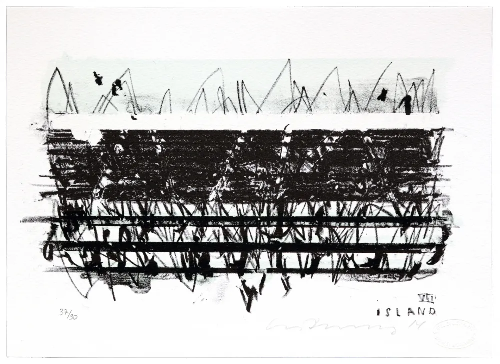 Lithograph Denning - Islande VII