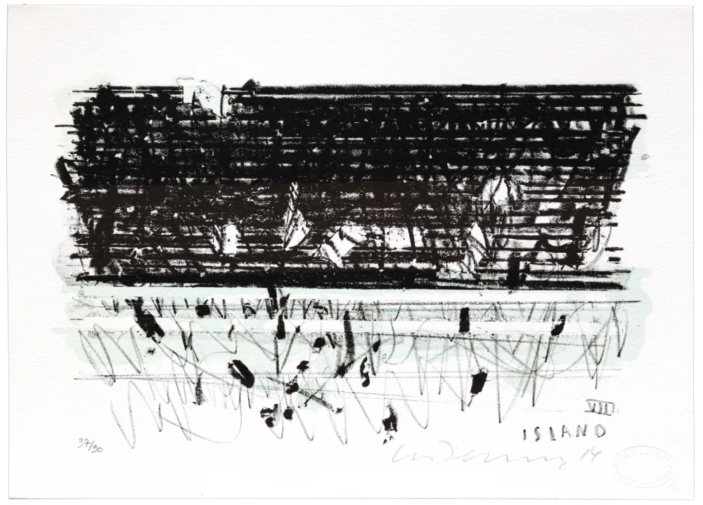 Lithograph Denning - Islande VIII