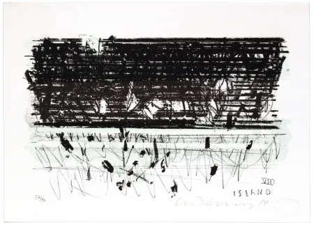 Lithograph Denning - Islande VIII