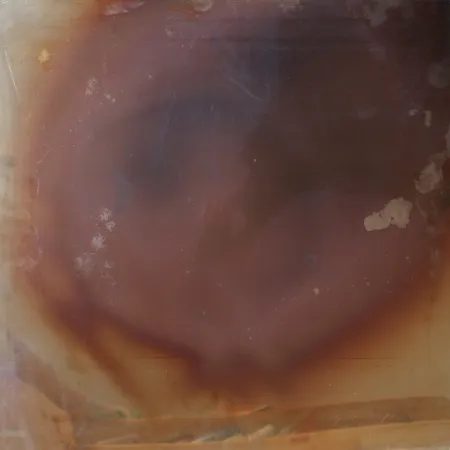 No Technical Deschamps -  Les Nouveaux Realistes