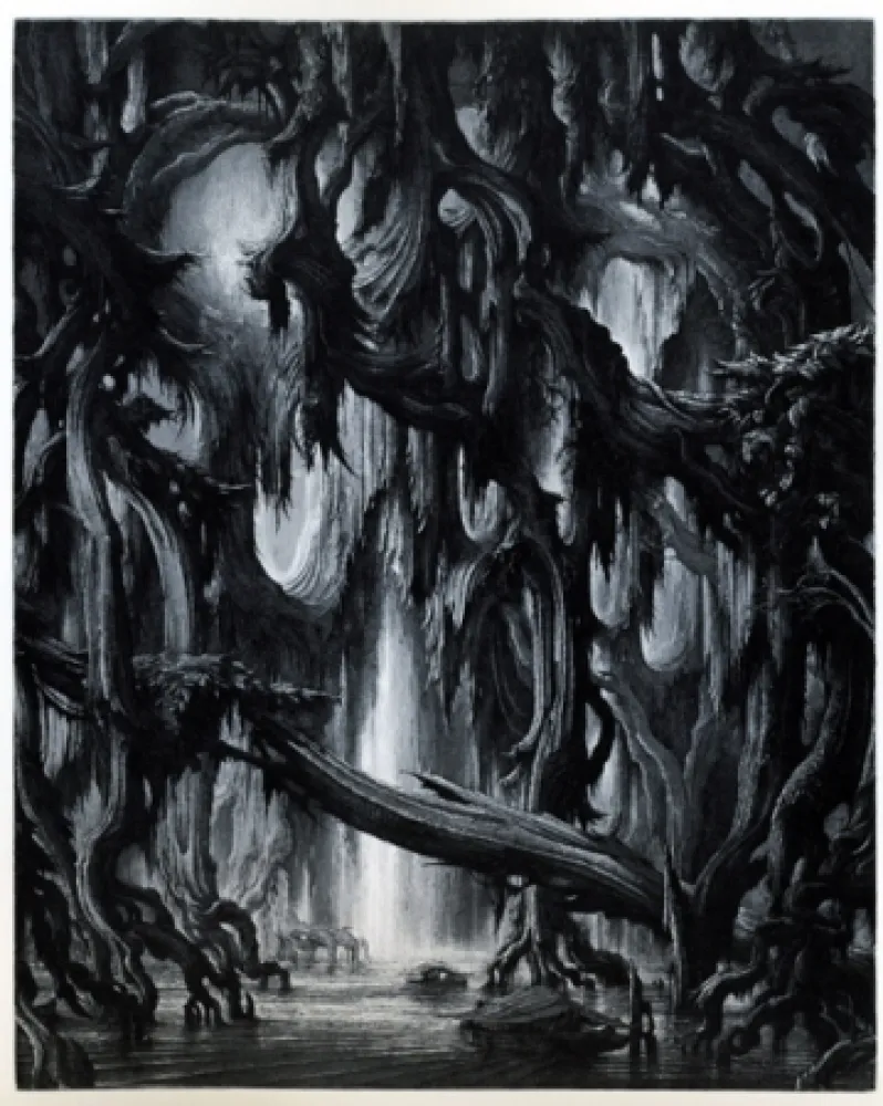 Etching And Aquatint Desmazières - Exploration