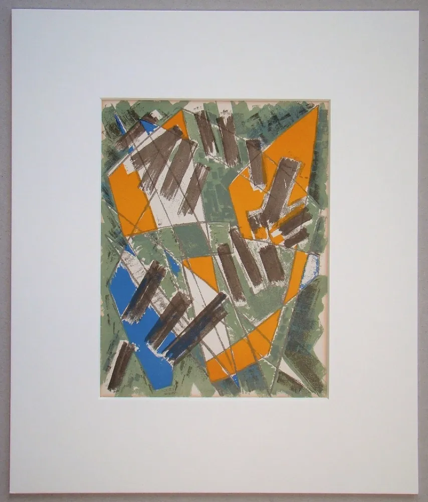 Lithograph Deyrolle - Gildo