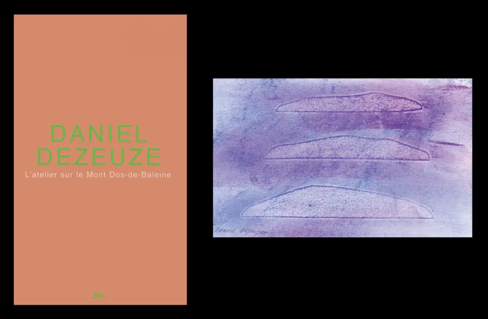 Illustrated Book Dezeuze - L'art en écrit 