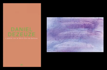 Illustrated Book Dezeuze - L'art en écrit 