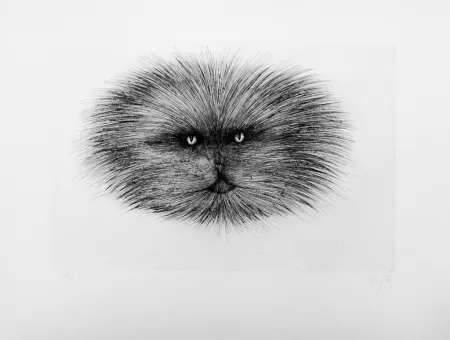 Drypoint D'ho - Chat gris