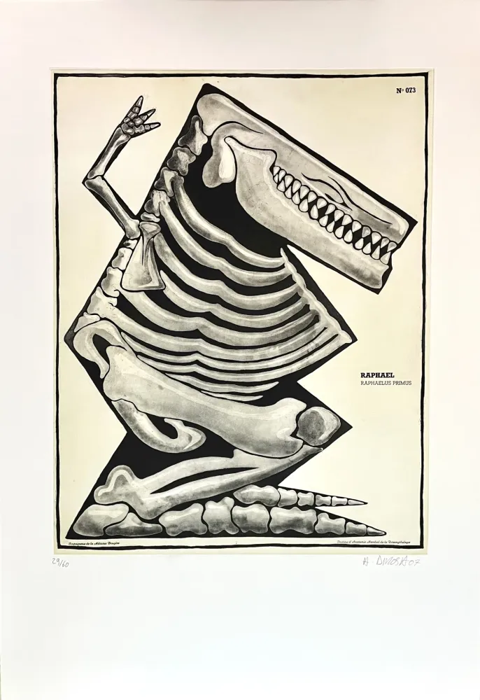 Etching Di Rosa - Raphaël