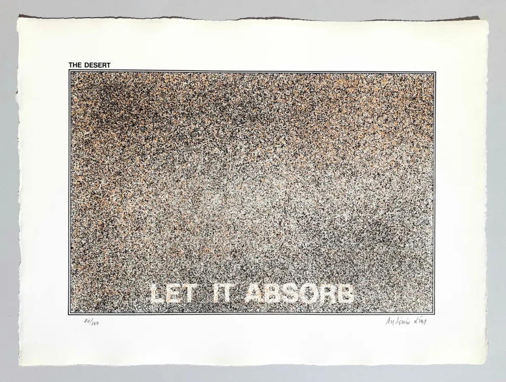 Screenprint Dias - The desert - Let it absorb
