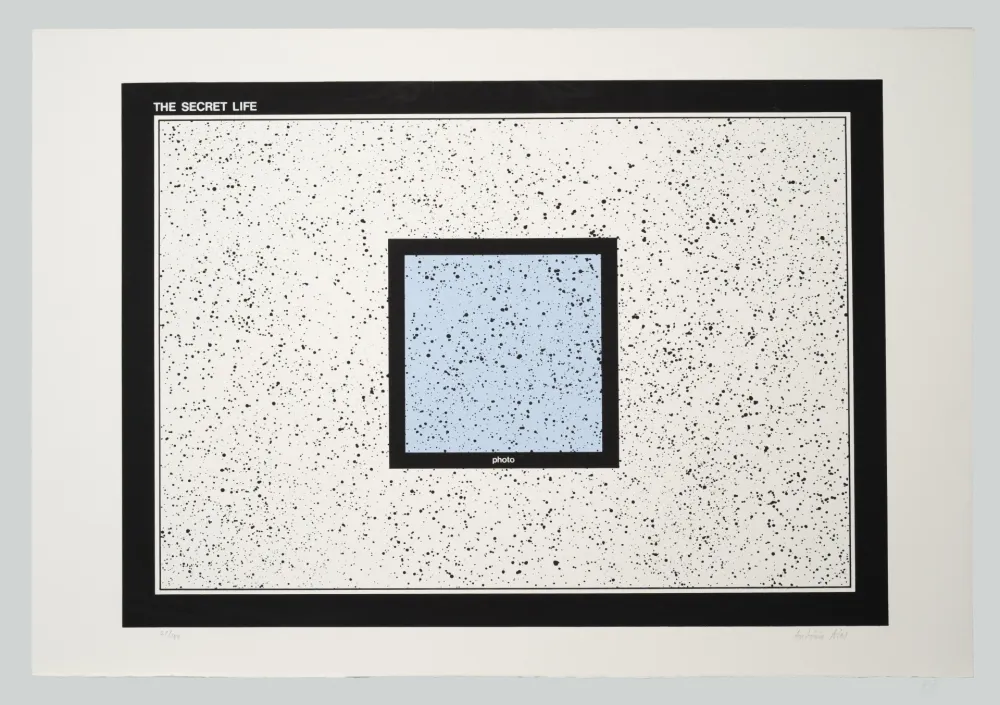 Screenprint Dias - The secret life