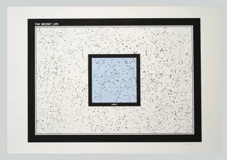 Screenprint Dias - The secret life