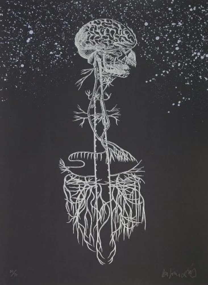 Lithograph Diaz - Navegador