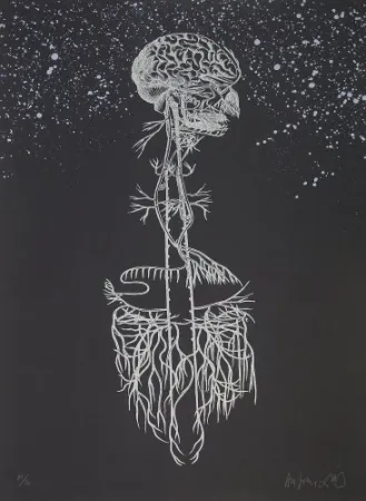 Lithograph Diaz - Navegador