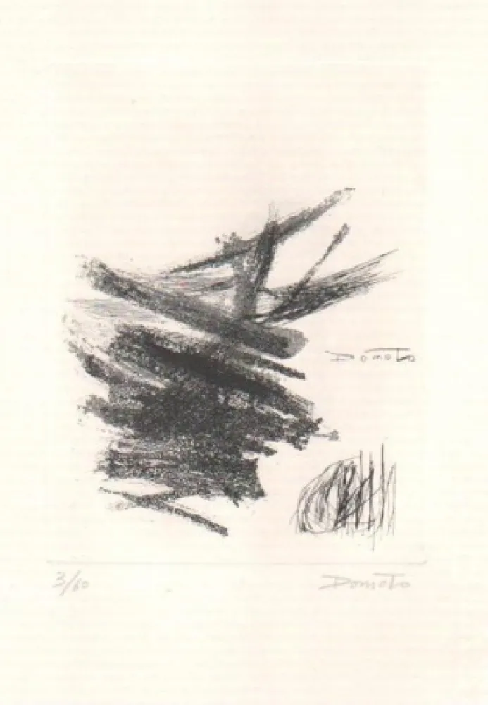 Etching And Aquatint Domoto - Senza titolo