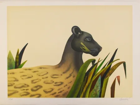 Lithograph Donadini - Wildcat