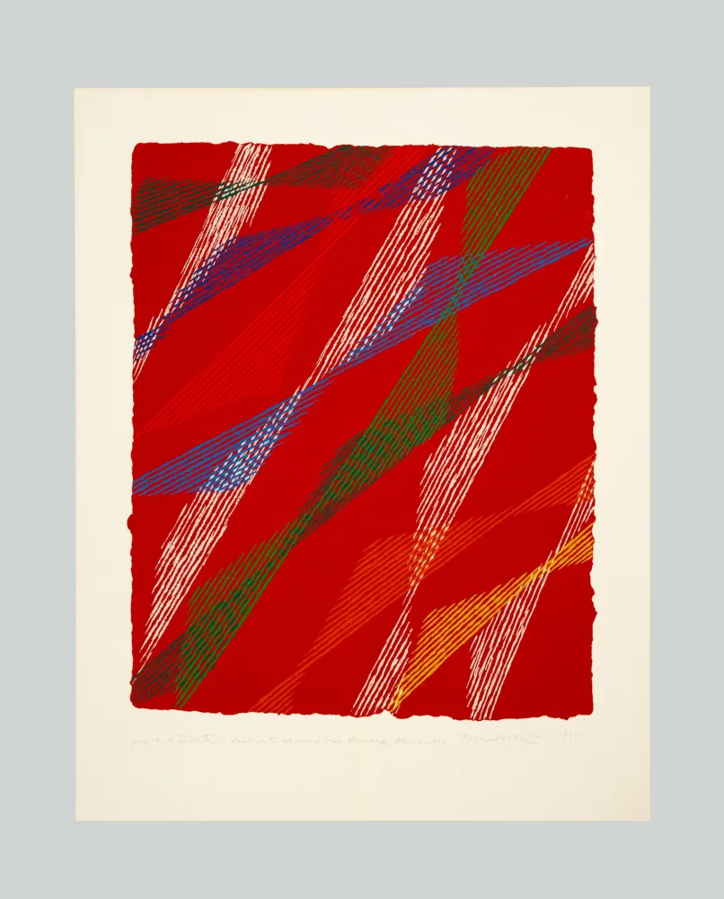 Screenprint Dorazio - Composizione