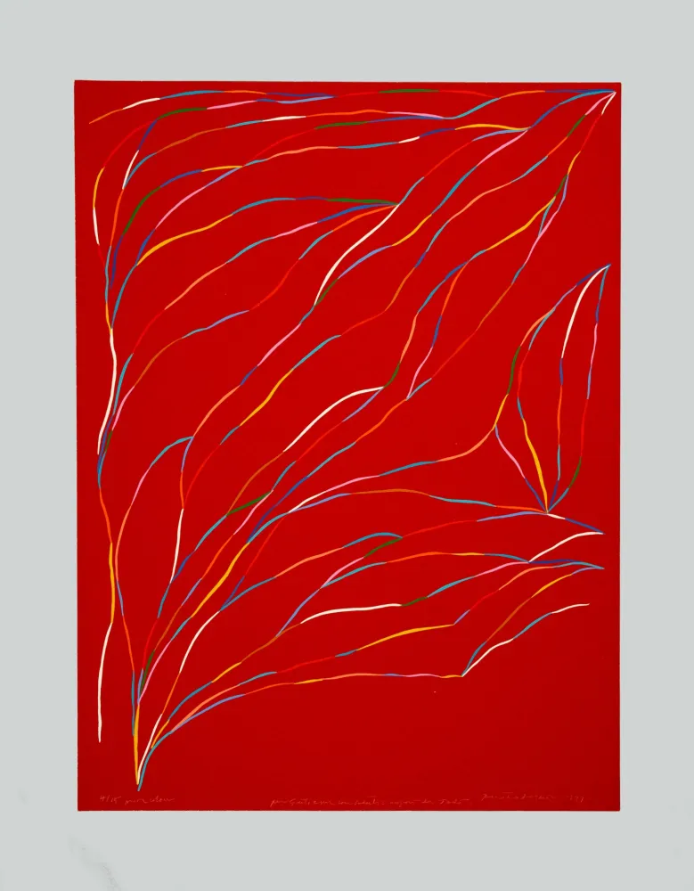 Screenprint Dorazio - Composizione