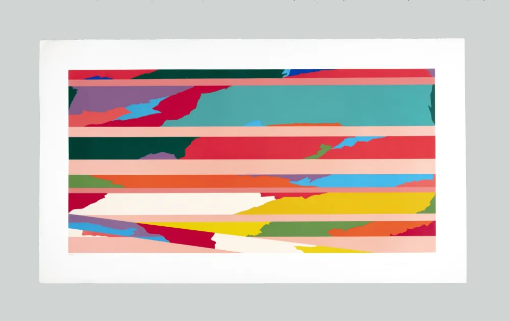 Screenprint Dorazio - Composizione