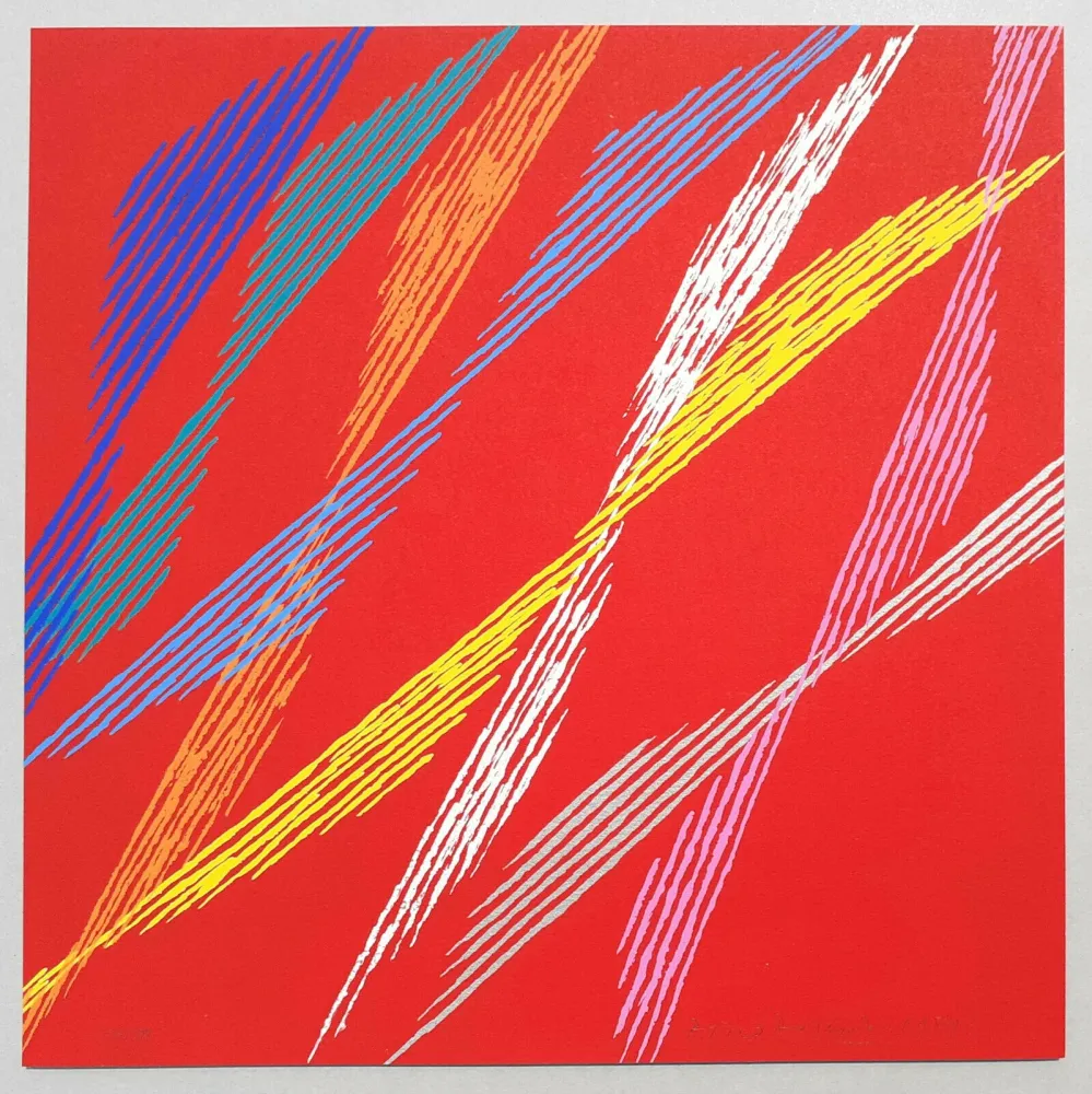 Screenprint Dorazio - Composizione C