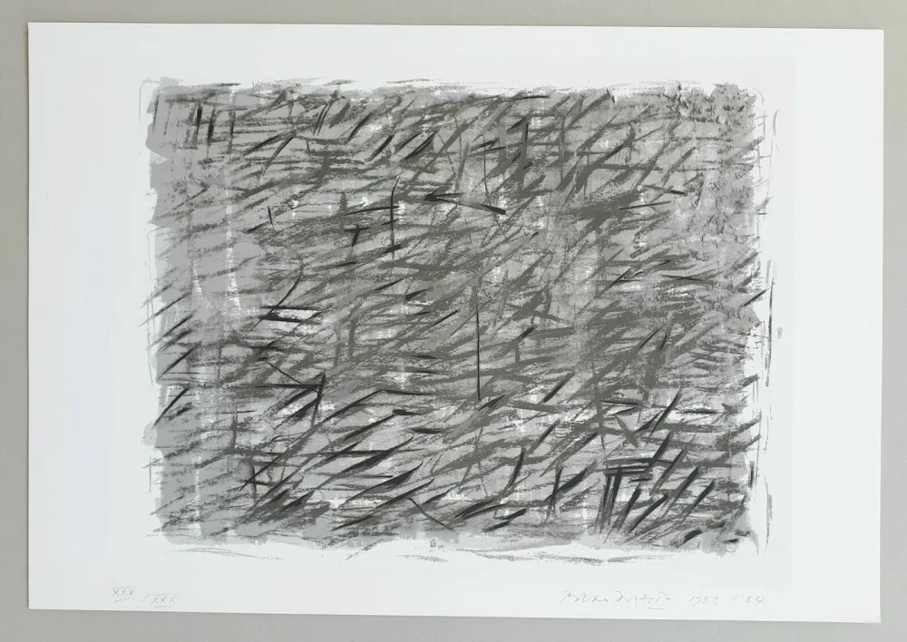 Screenprint Dorazio - Disegno