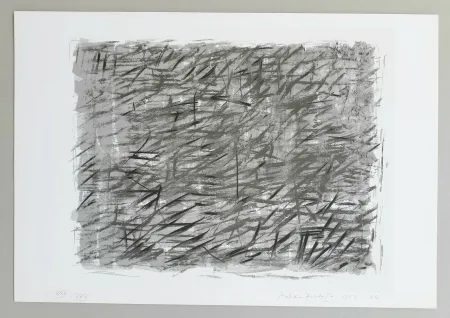 Screenprint Dorazio - Disegno