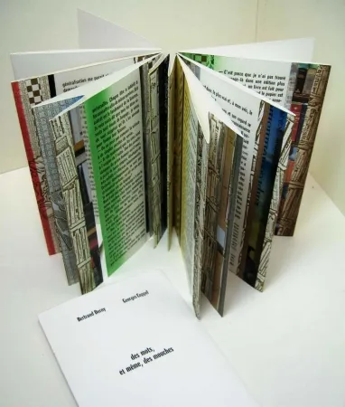 Illustrated Book Dorny - Des mots, et meme, des mouches 