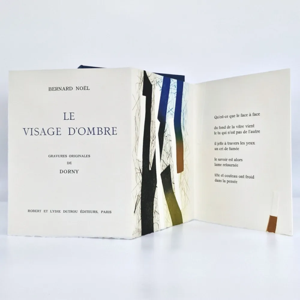 Illustrated Book Dorny - Le visage d'ombre