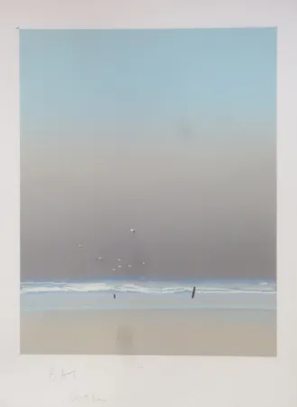 Lithograph Doutreleau - Les mouettes