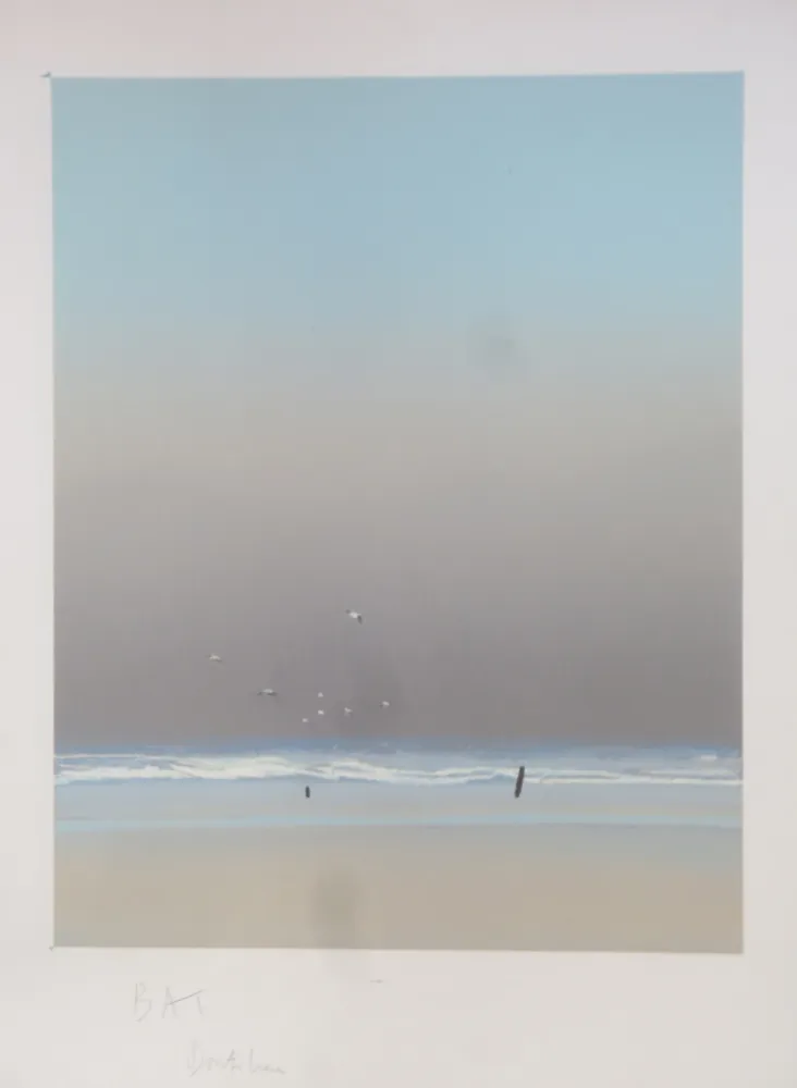 Lithograph Doutreleau - Les mouettes