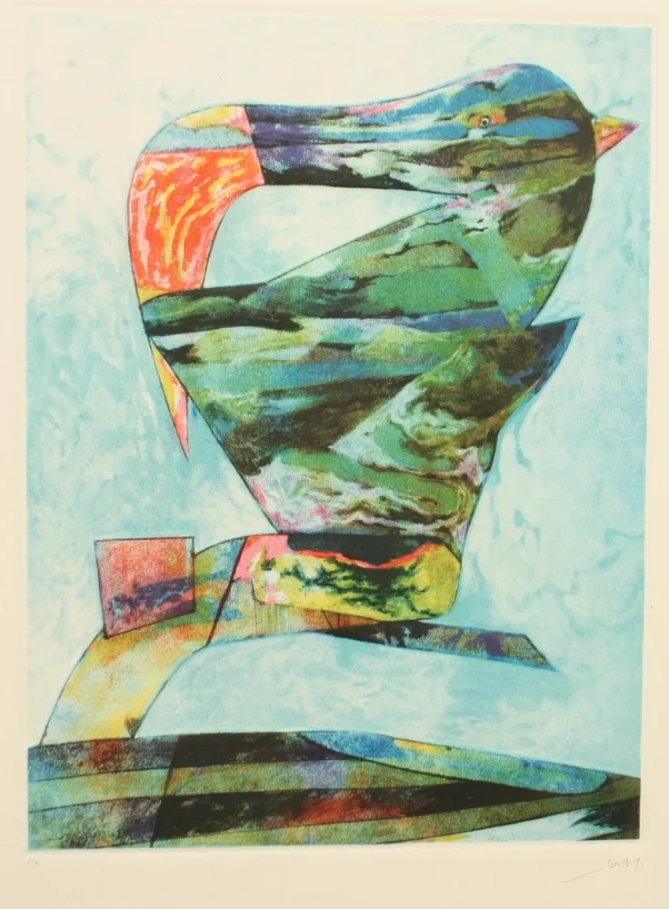 Etching And Aquatint Dova  - UCCELLO DI BRETAGNA