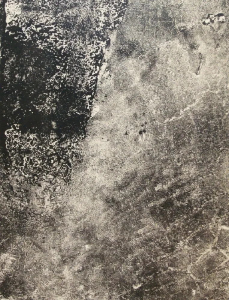 Lithograph Dubuffet - Lèpre