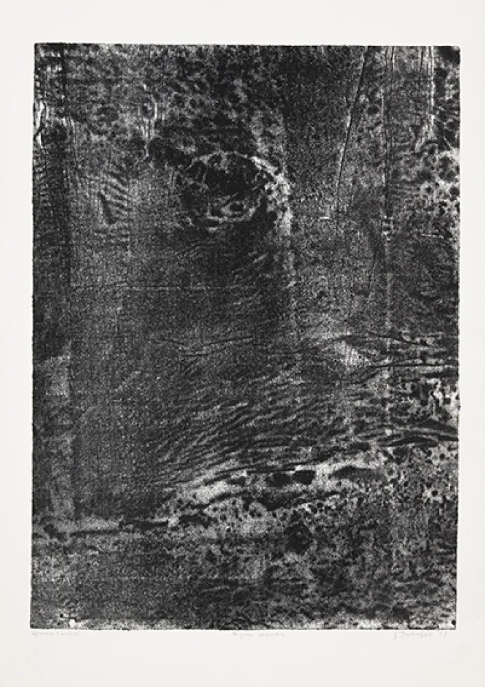 Lithograph Dubuffet - Paysage japonais