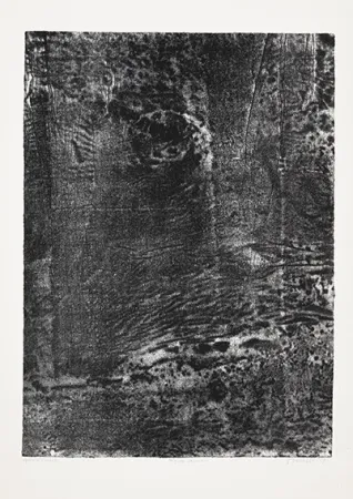 Lithograph Dubuffet - Paysage japonais