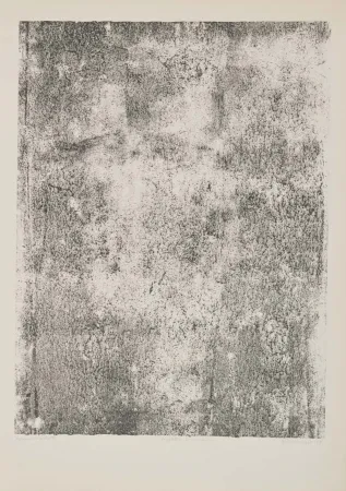 Lithograph Dubuffet - Végétation primordiale